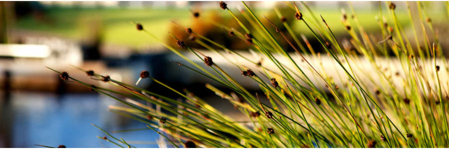 Living at Heron Park Land Estate in Harrisdale