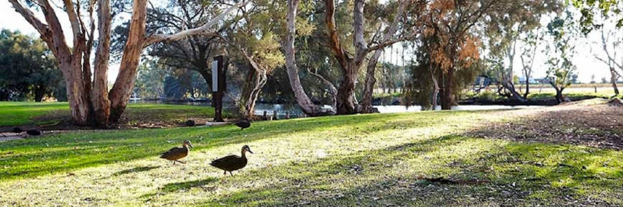 Living at Balwyn Private Estate Land Estate in Caversham