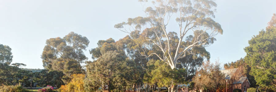 Living at Hilbert Park Land Estate in Hilbert
