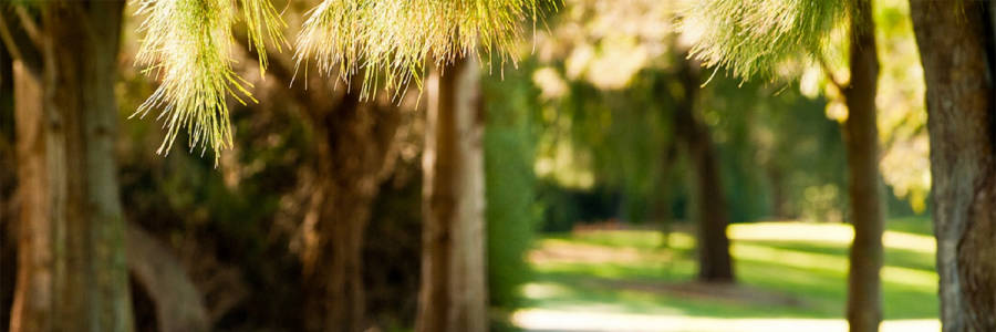 Living at Kingston At Australind Land Estate in Kingston